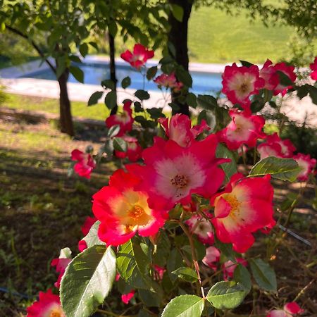 קסטלנואובו ברארדנגה Agriturismo San Fabio מראה חיצוני תמונה