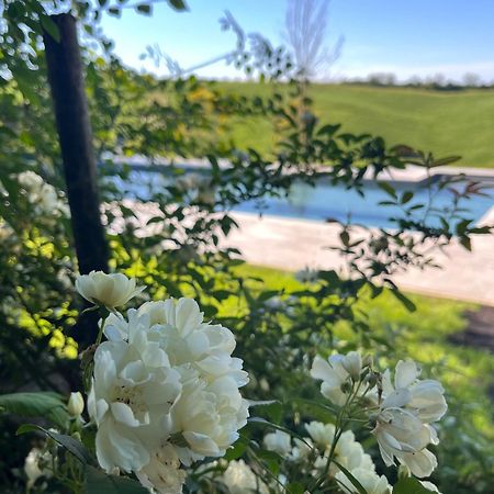 קסטלנואובו ברארדנגה Agriturismo San Fabio מראה חיצוני תמונה