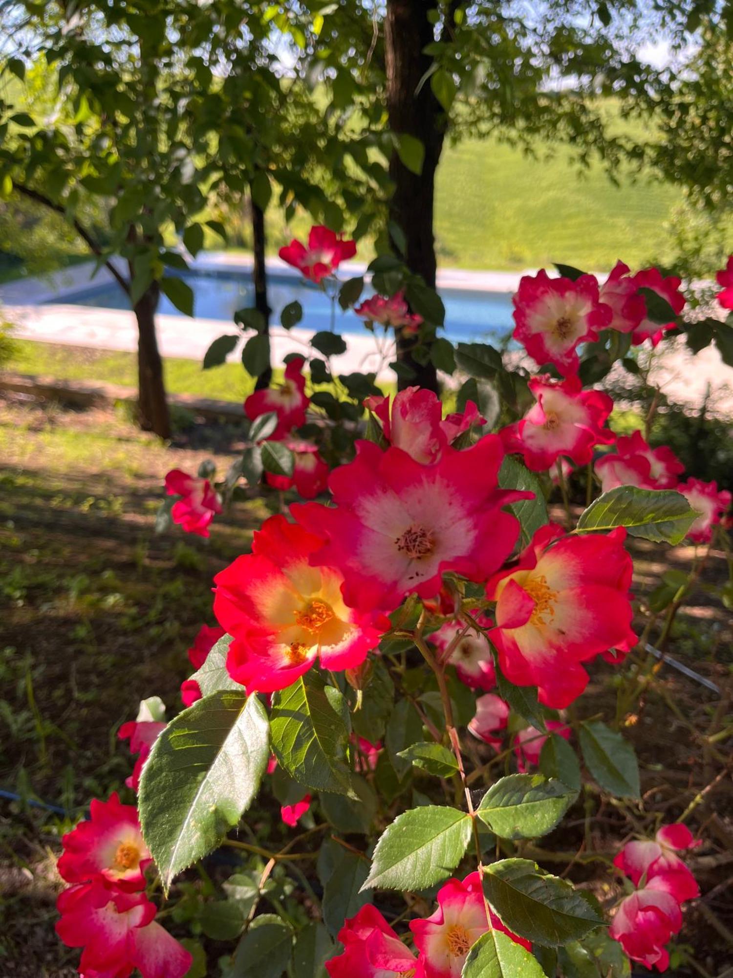 קסטלנואובו ברארדנגה Agriturismo San Fabio מראה חיצוני תמונה